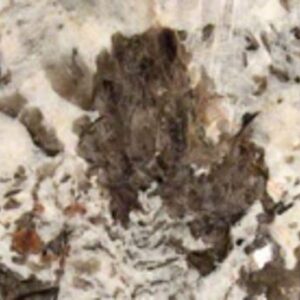 Granite Bianco Antique