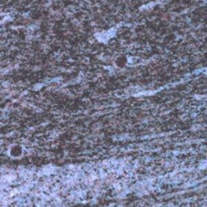 Granite Coramundel